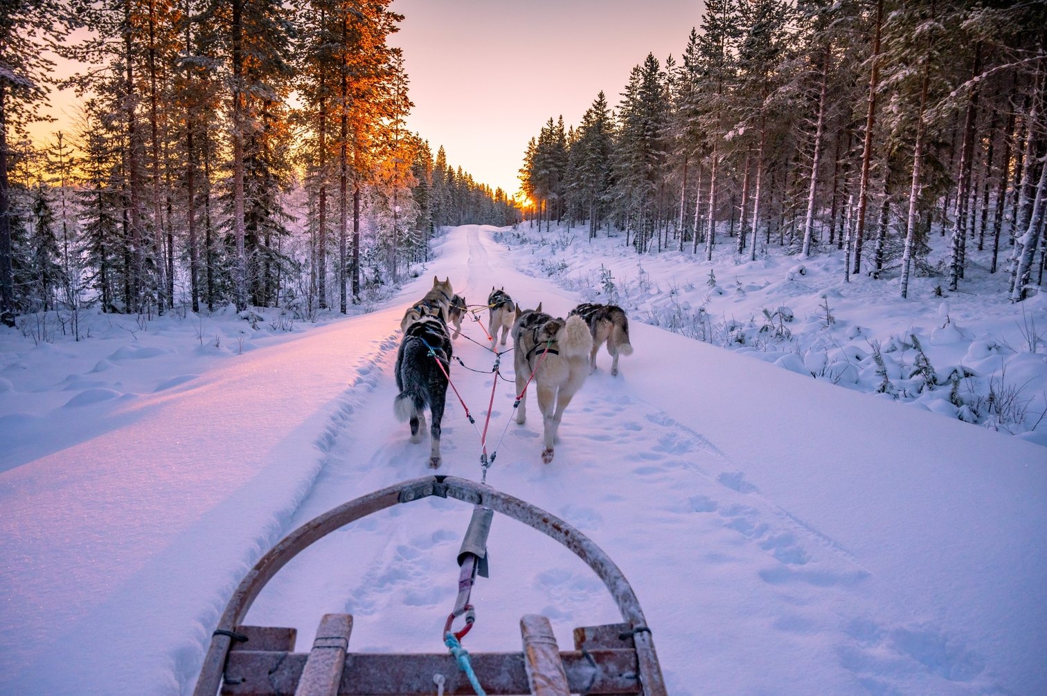  Lapland: Your ultimate guide